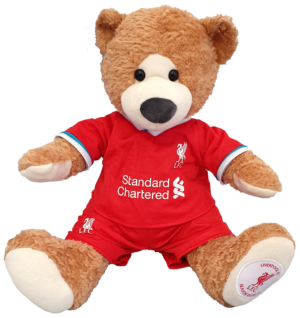 15cm Memory Foam Bear