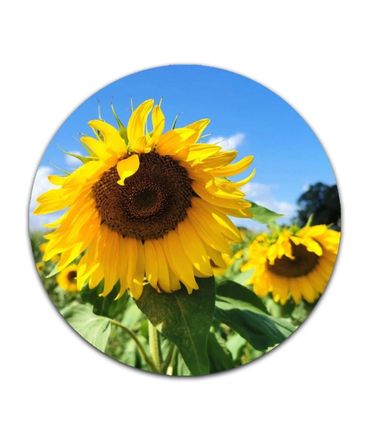 Mouse Mat (Circular)