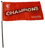 Hand Waving Flag on Pole